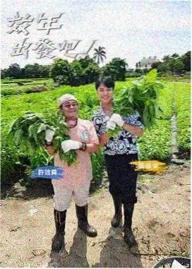 荒野合唱团音乐综艺在线观看封面